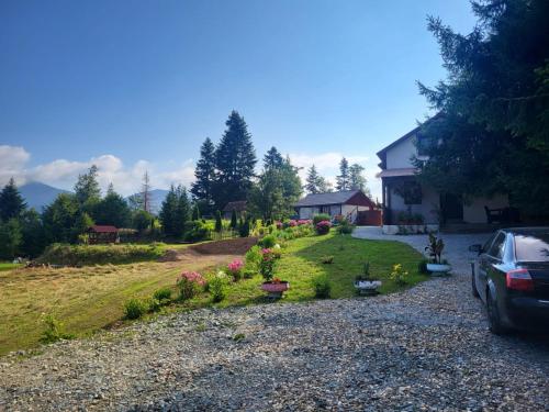 Căsuța din Pădure