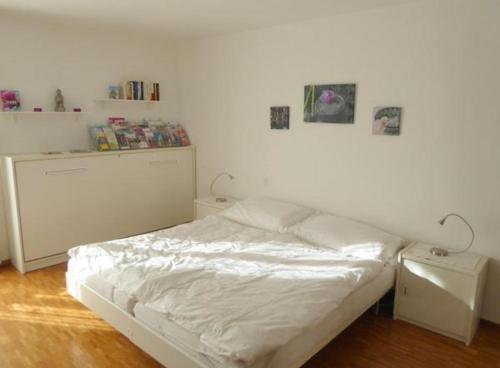  Casa Ghiggi - Dreieinhalbzimmerwohnung "Asia" in Brissago
