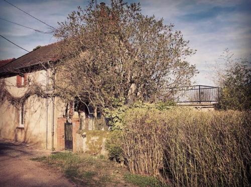 La Petite Maison in 索略