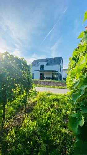 Haus im Weinberg in Ellenz-Poltersdorf, Deutschland