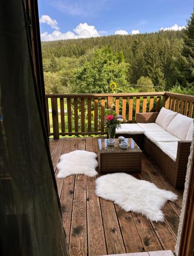 Chata Monika in Frymburk