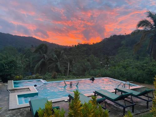 Rainforest Mount Lodge - Kotapola