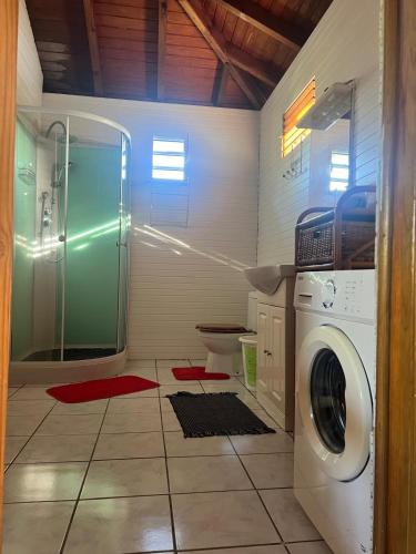 Les Alpinias in Berard