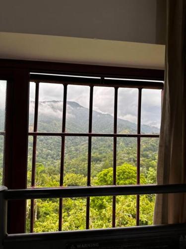 DiNancyCasolare - La Colonia, SC