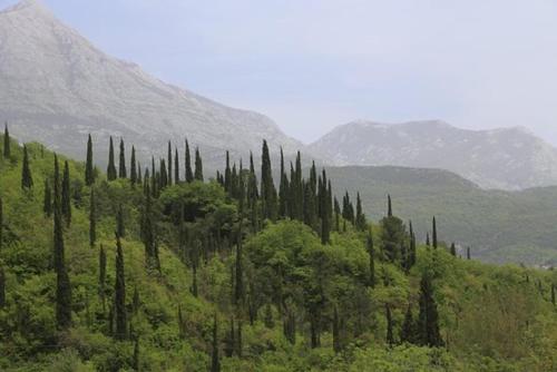 Apkārtne, BELAIR Rooms Montenegro in Mojdež