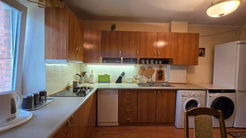 廚房, Kristi Apartments in 維薩吉納斯