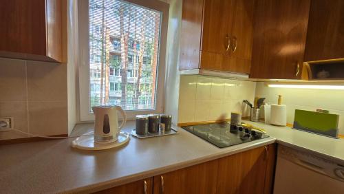 廚房, Kristi Apartments in 維薩吉納斯