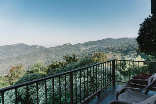 Phumork Camp Phu Chi Fa in Thoeng