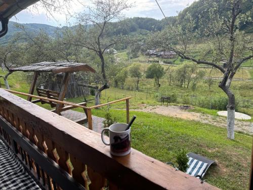 Rai pe Deal Chalet in Leordina