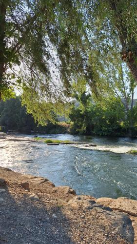 A környék, Ca la Paca in Ponts