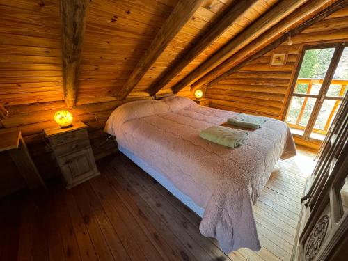 La Araucaria in Puente Del Inca