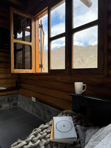 La Araucaria in Puente Del Inca