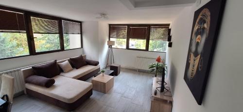 Tree house apartment, Skopje (fotografie 6)