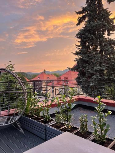 A szálláshely kívülről, Szmaragdowa Sowa in Walbrzych