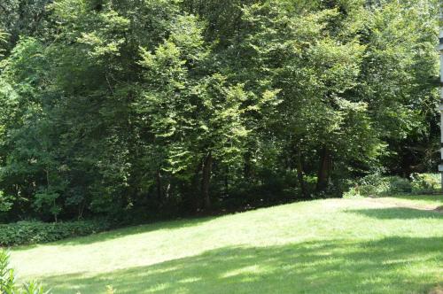 Kilátás, Calme et verdure 9 in La Calamine