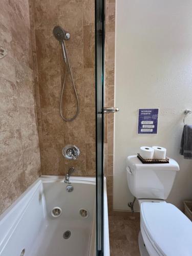 Camp Manatee - Luxury Riverfront Cabin on Santa Fe River with Stunning Views!