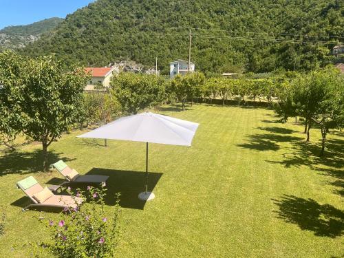 Skats, House Gorica in Godinje