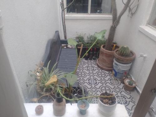 Habitación en departamento cerca del Zocalo in Mexico City, Mexico