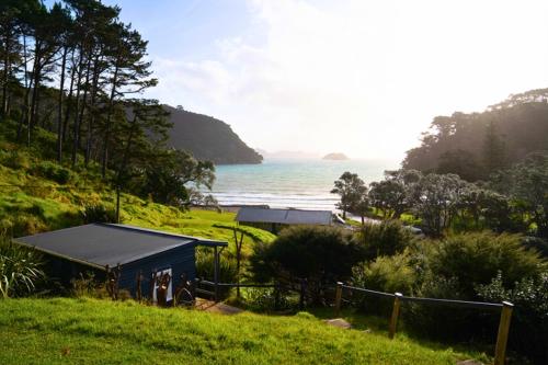 สภาพแวดล้อมโดยรอบ, Karaka Bay Lodge in เกาะเกรทแบร์ริเออร์