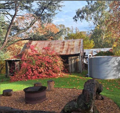 Ellerslie Cottage in Metcalfe
