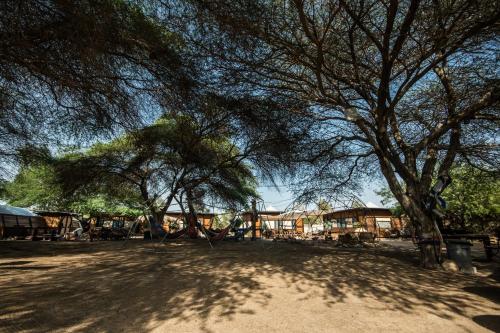 . Shkedi's Camplodge
