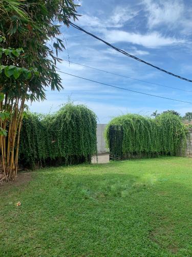 Utsikt, L'ORANGE BUDGET ROOM near Bali Safari & Marine Park