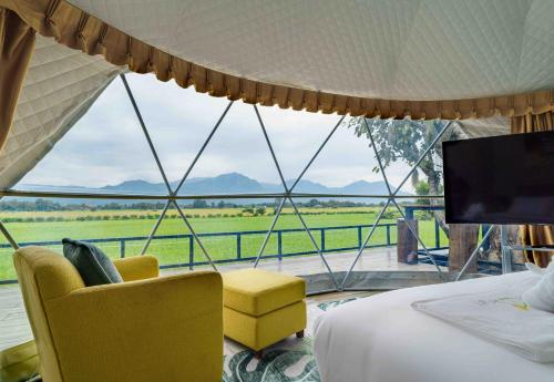 Serenity and Delight Glamping Done