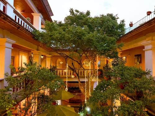 Garden, Parador del Dominico in Oaxaca