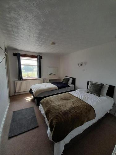 3 twin beds