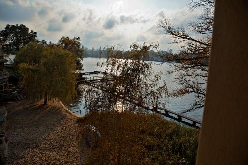 Seminar- und Gästehaus Flussbad Gartenstrasse - image 5