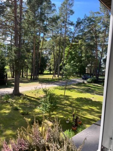 Apartment 4 Palūšė (Apartment 4 Paluse) in 伊格納利納