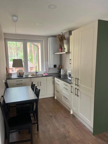 Apartment 4 Palūšė (Apartment 4 Paluse) in 伊格納利納