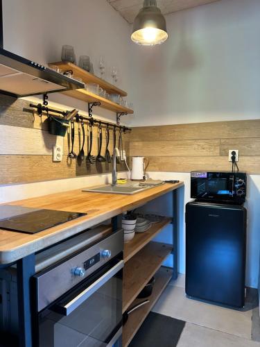 Loft Apartments in Šluknov
