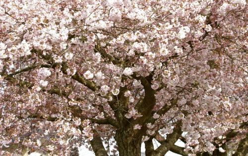 Scorpio House Langley ROOM A