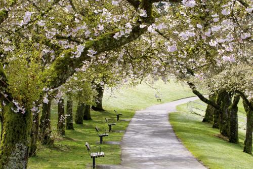 Scorpio House Langley ROOM A