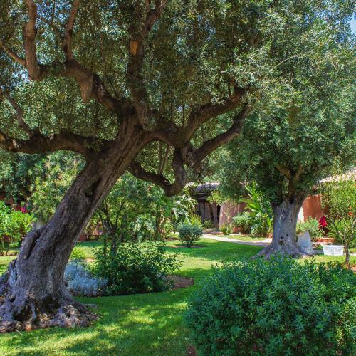 Happy Village – Marina di Camerota, UT