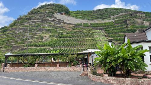 Winzerschenke 2