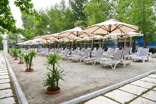 590381148 Multi Grand Pharaon Hotel