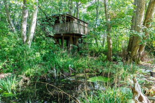 The Treehouse at Castle Cottage, Pulborough