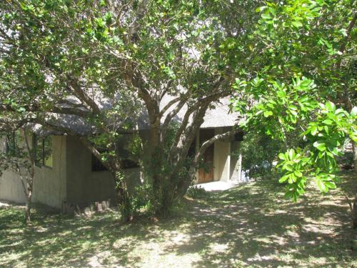 Viesnīcas āriene, Lunamanzi Lodge in KwaMazambane