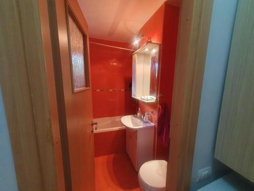 Mimosa Iosia Oradea Mimosa Iosia Oradea