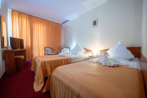 Hotel Doina - image 8
