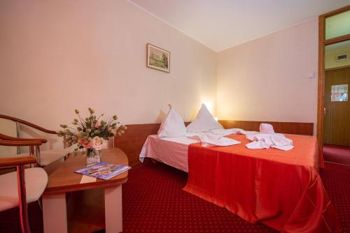 Hotel Doina - image 4