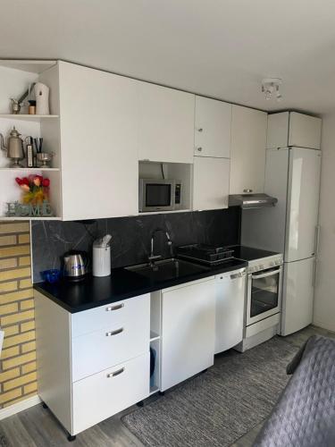 Videdal apartment 2 rooms - Own entrance & Free Parking in 비렌토프타