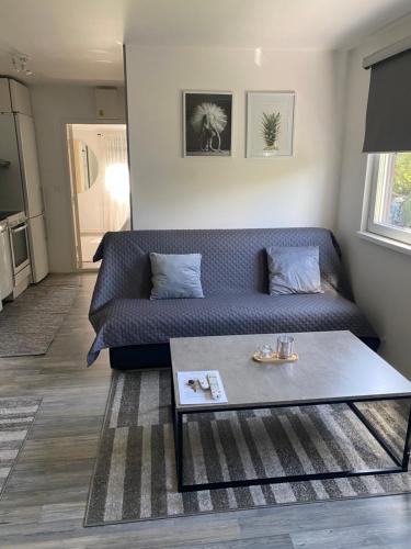 Videdal apartment 2 rooms - Own entrance & Free Parking in 비렌토프타