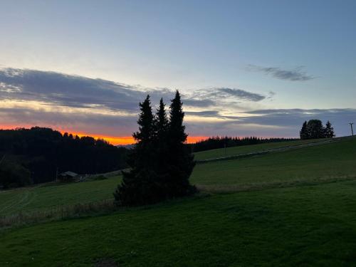 Surrounding environment, Romantikchalet Neuastenberg/Winterberg in Neuastenberg