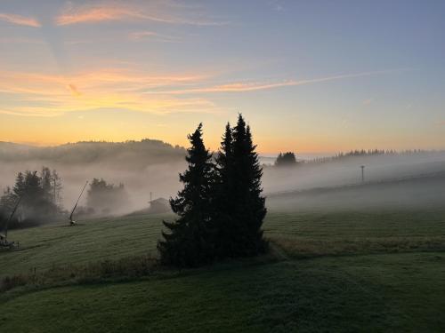 View, Romantikchalet Neuastenberg/Winterberg in Neuastenberg
