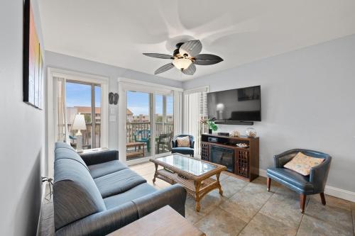 Pelicans Watch 218 image