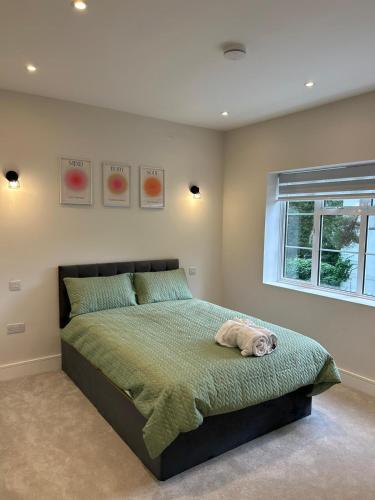 Exclusive London Apartment - Wembley Stadium, OVO Wembley Arena, Londyn
