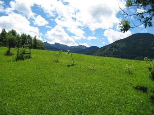 Bergblick in Saulgrub
